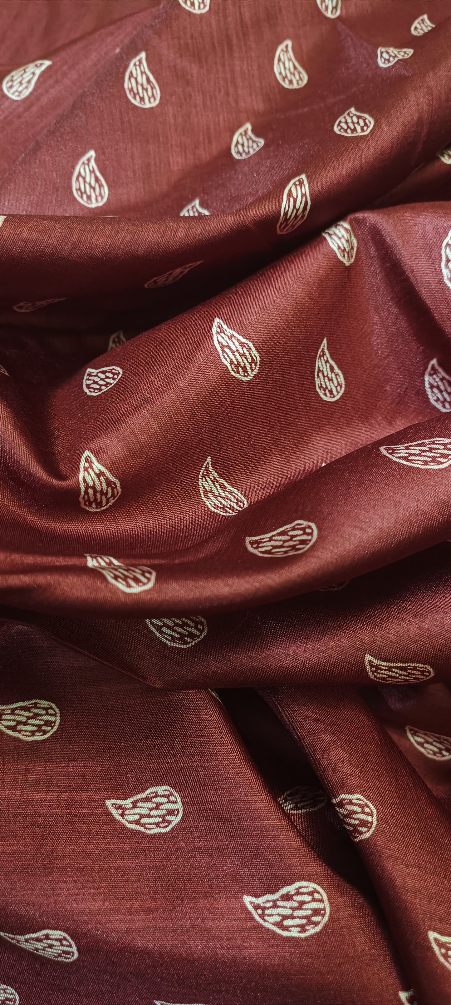 Bodh Raat Pure Silk-Cotton Blend Saree