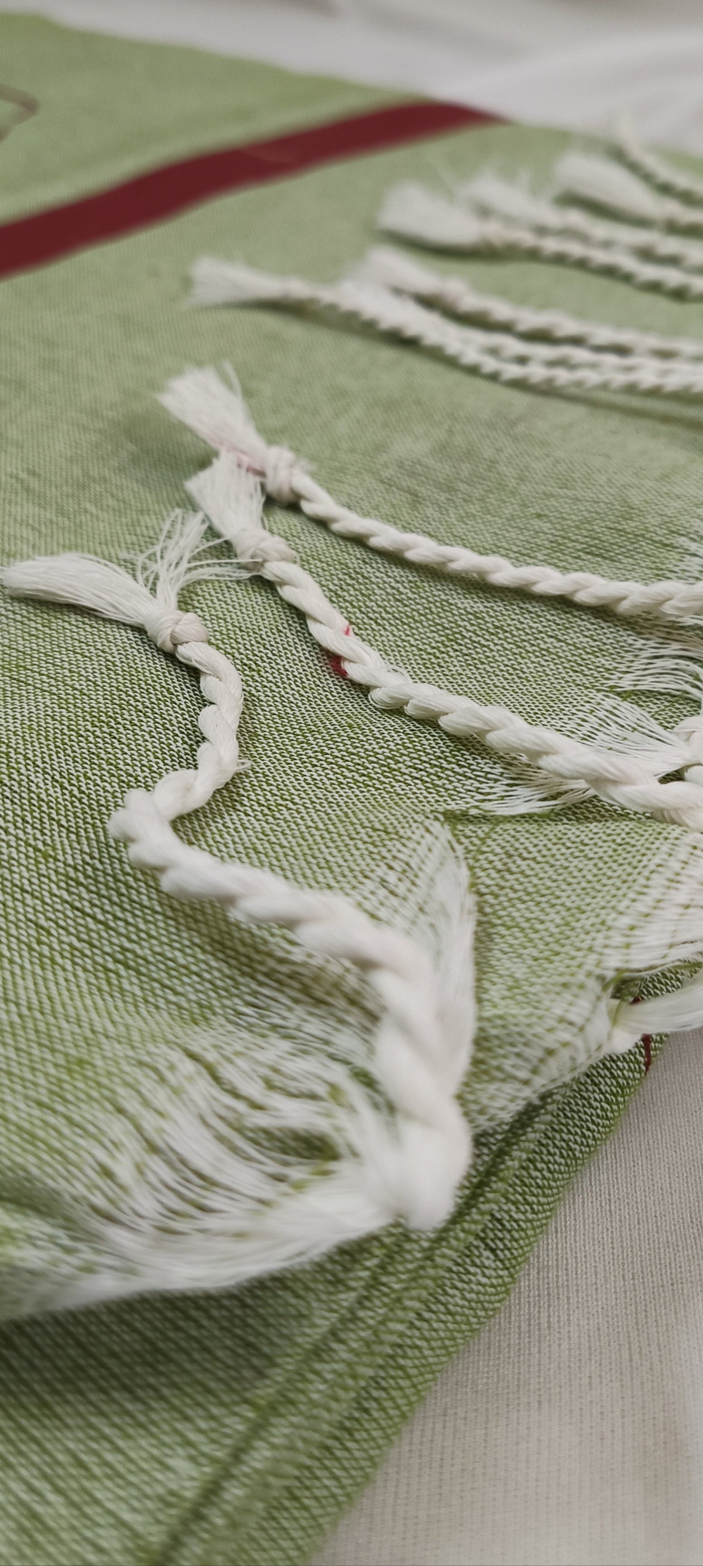 Roseblush Mint Motka Cotton Saree