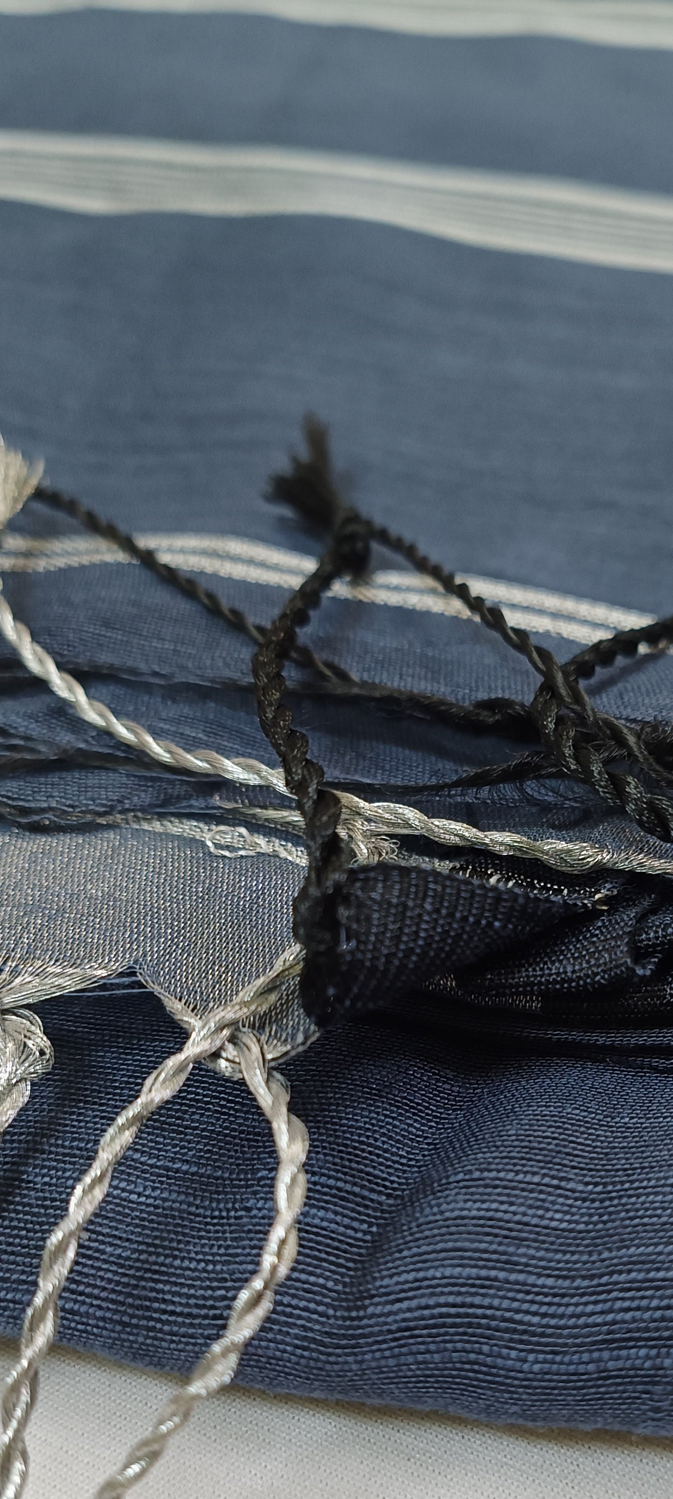 Neelgeet Slab Cotton Saree