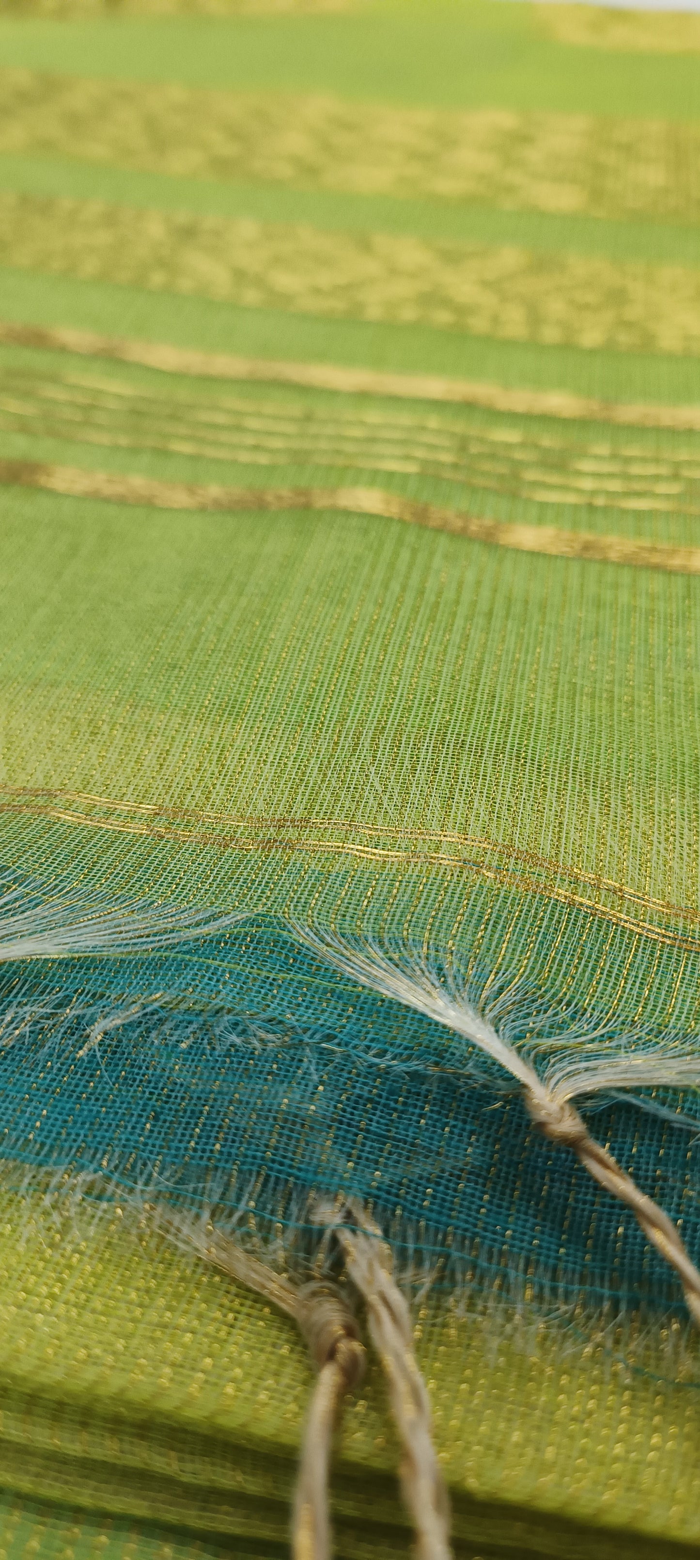 Aamrekha Tissue Muslin Saree