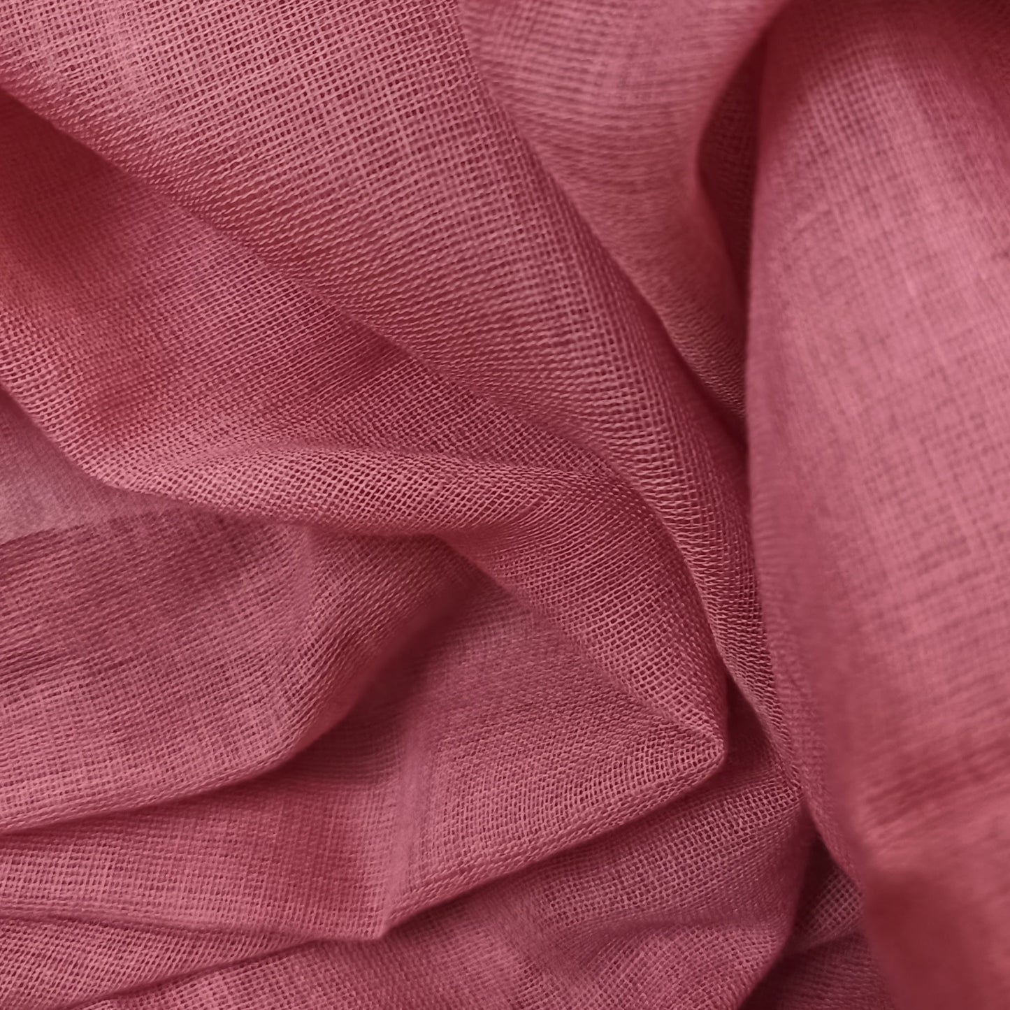 Gulabchaap Cotton Saree