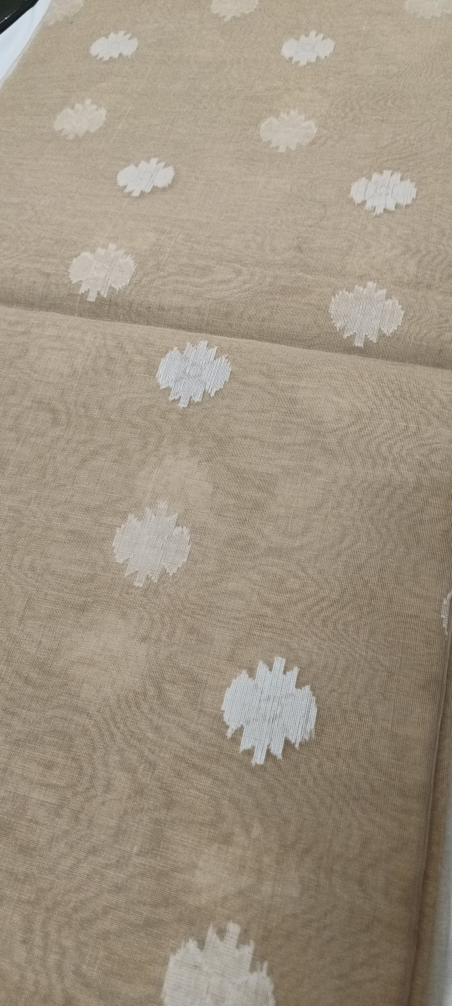 Chhaon Beige Muslin Organza Saree