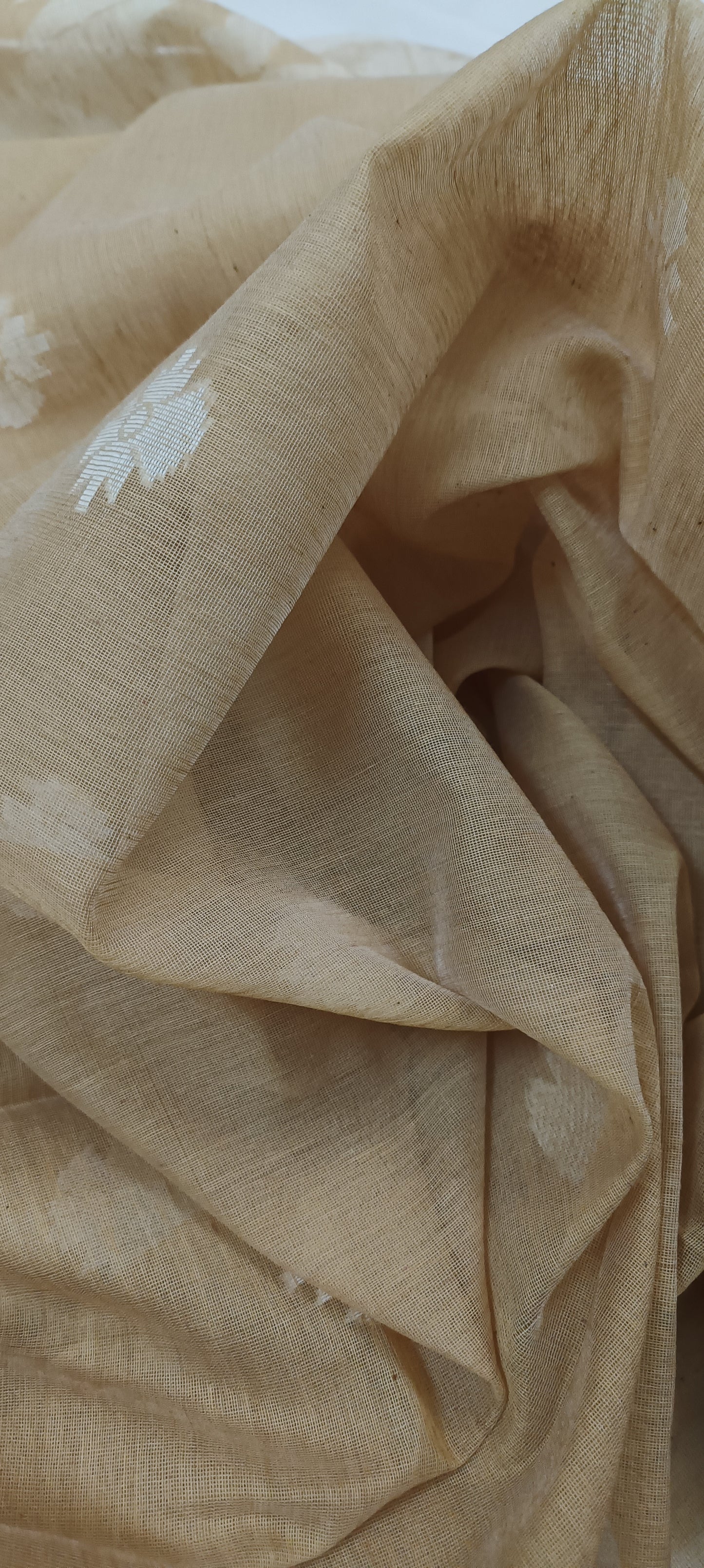 Chhaon Beige Muslin Organza Saree