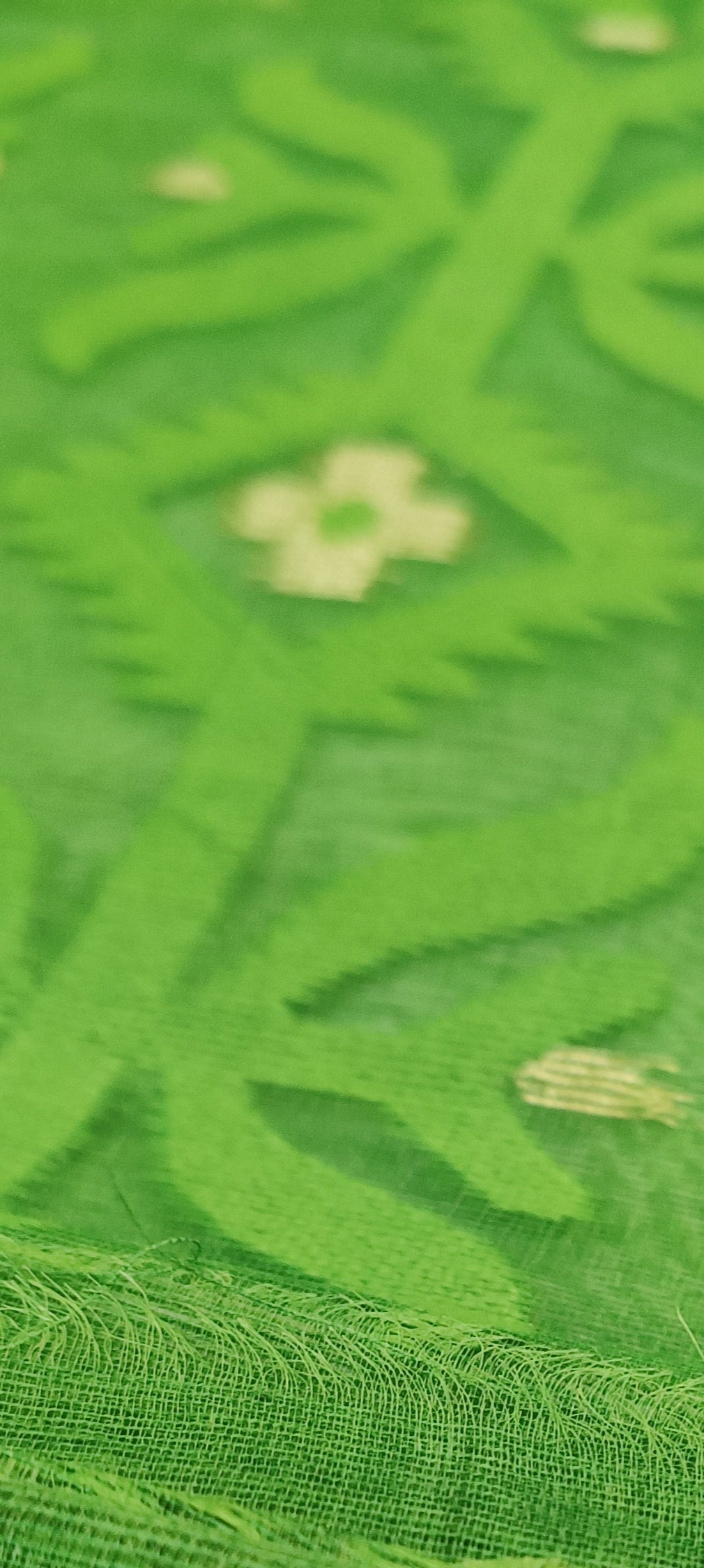 Parrot Whisper Dhakai Taant Saree