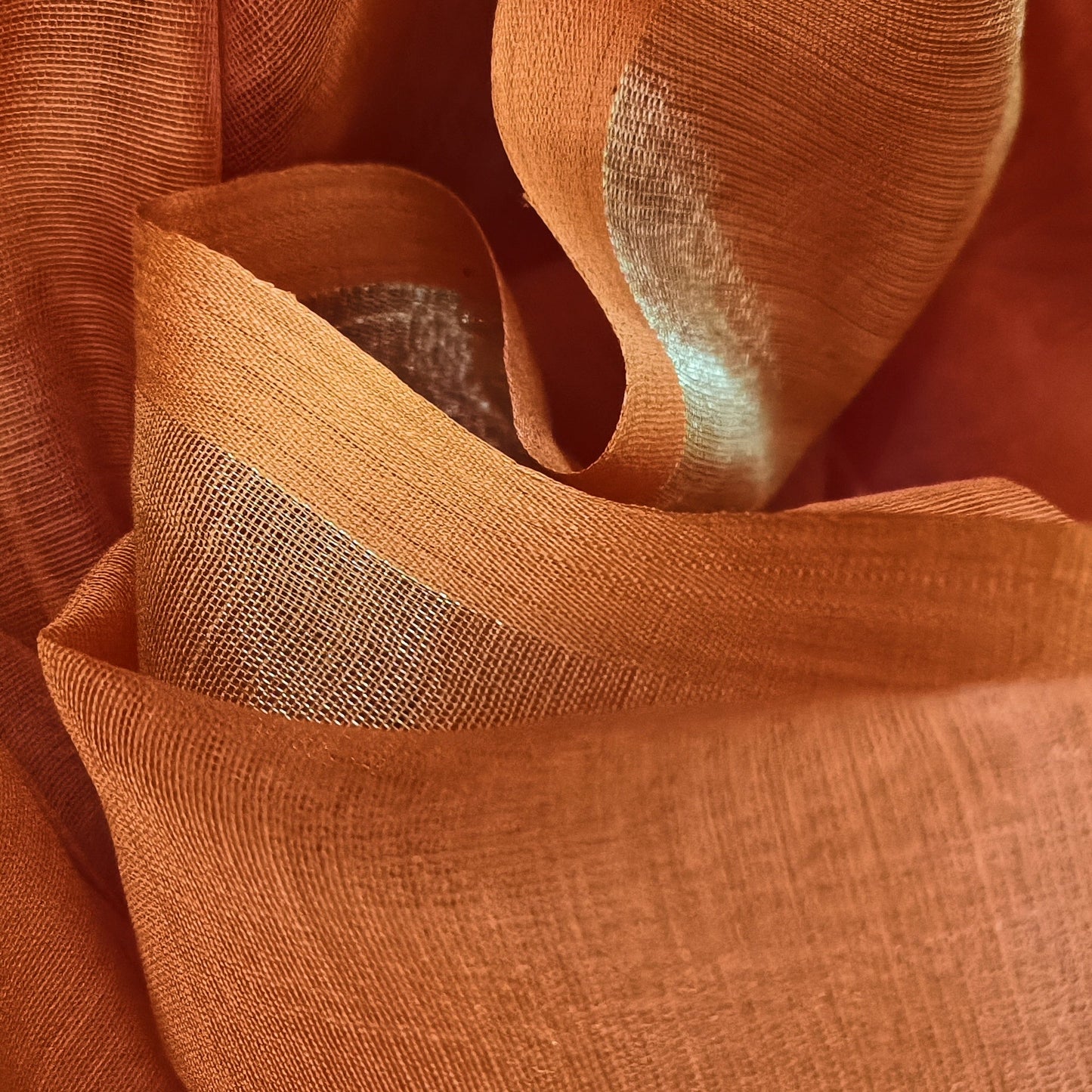 Amber Grove Muslin Saree with Tree Motifs