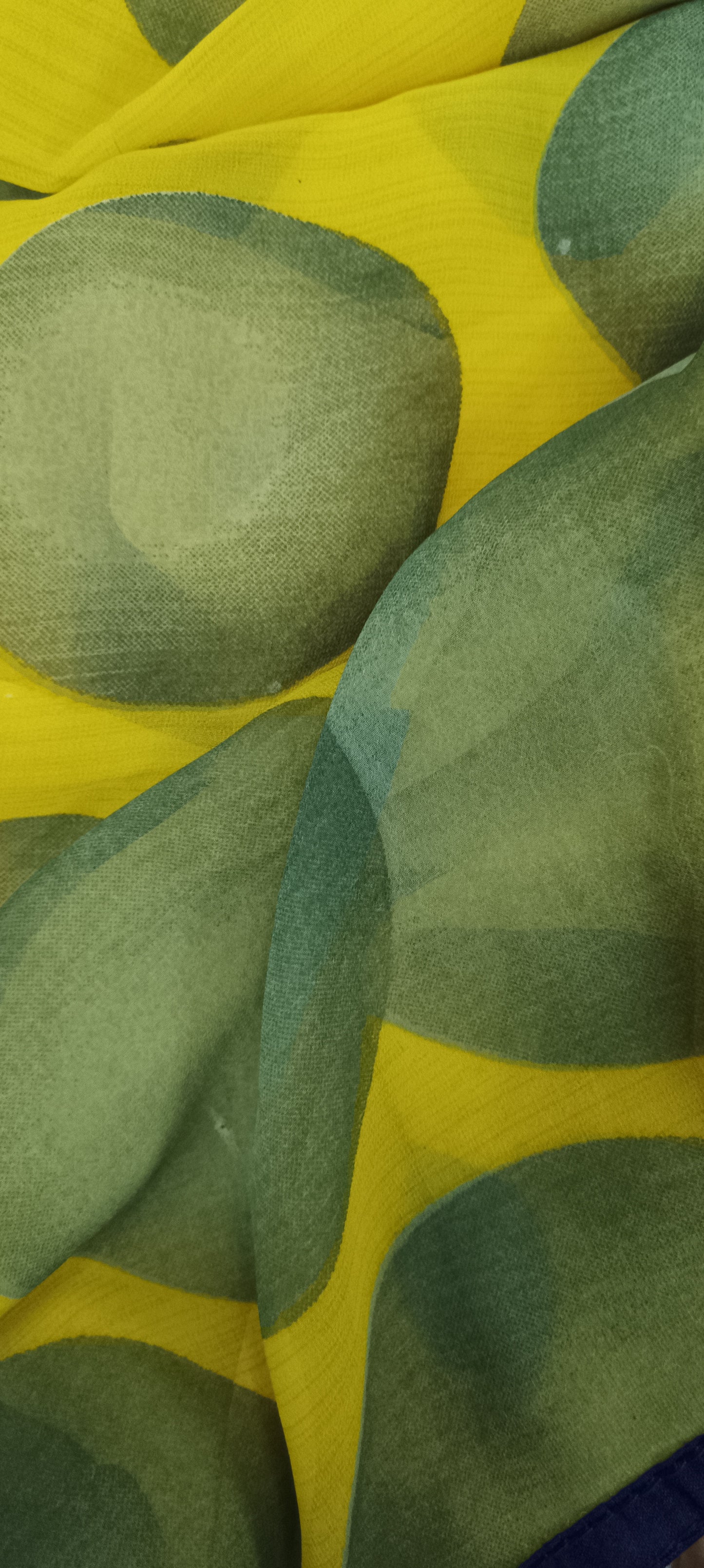 Aamphool Chiffon Saree