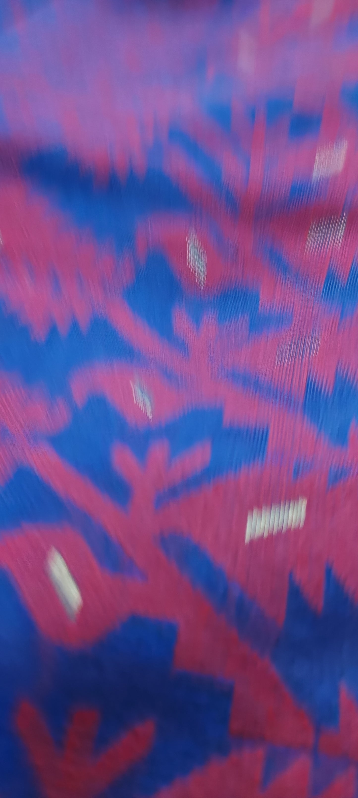 Neelrudhira Dhakai Taant Saree