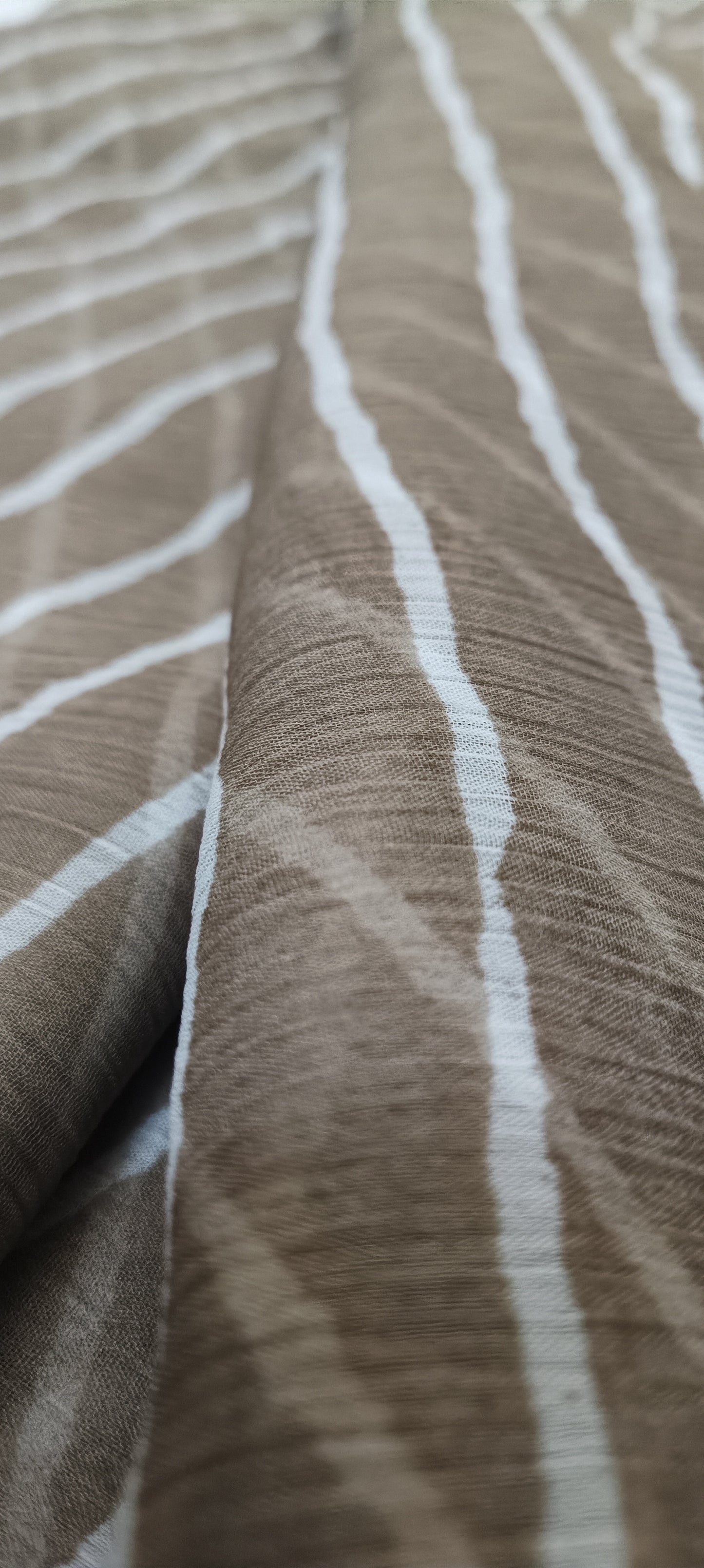 Khus Oak Chiffon Saree