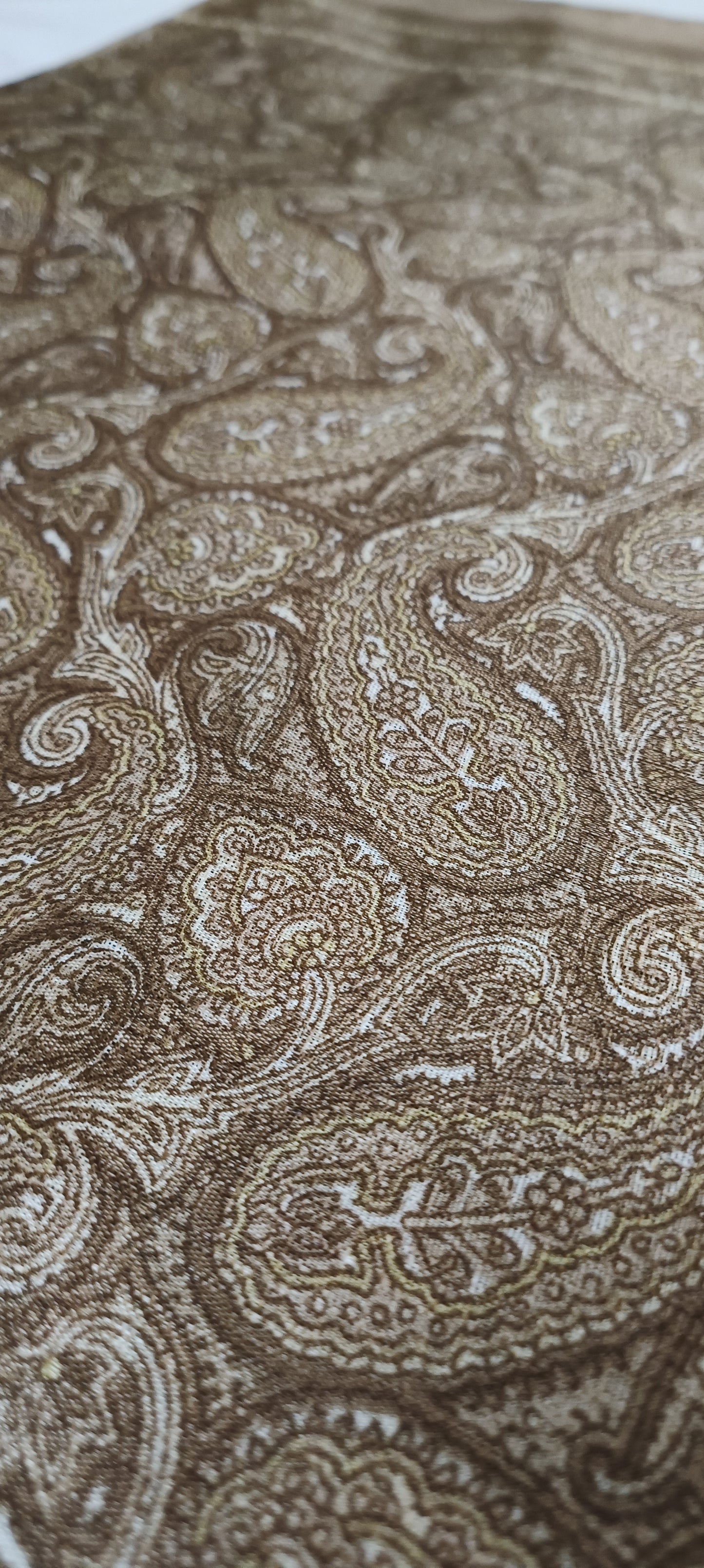 Mridvan Paisley Cotton Silk Saree