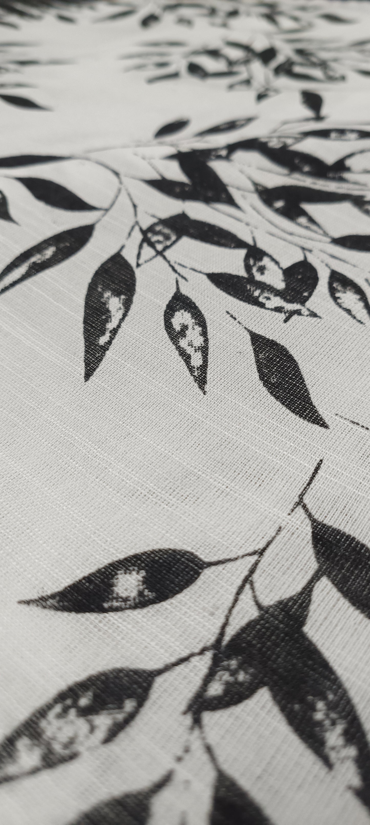 Charcoal Whisper Slab Cotton Saree