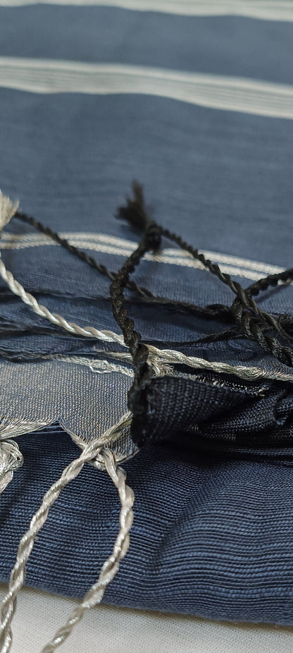 Neelgeet Slab Cotton Saree