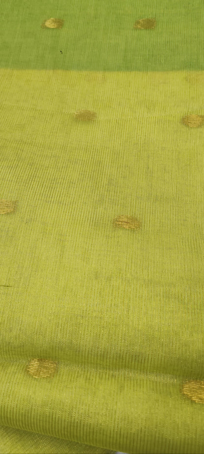 Aamrekha Tissue Muslin Saree