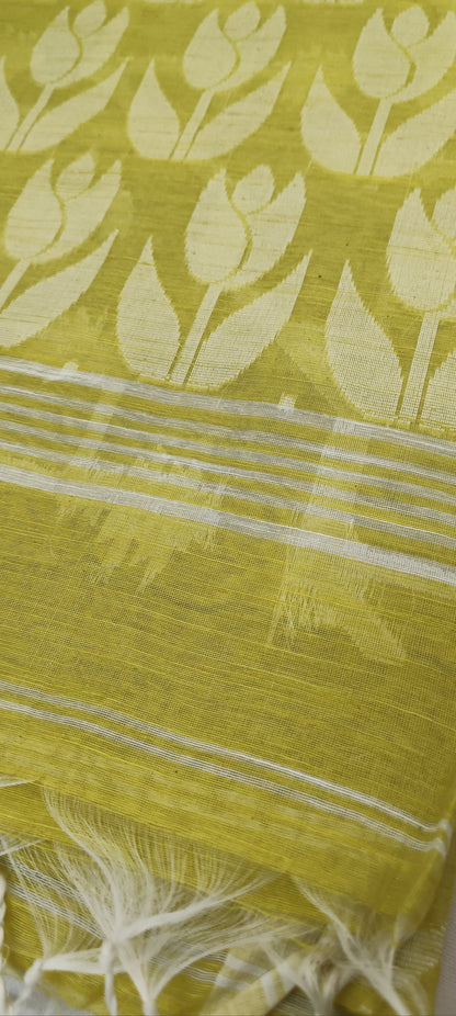Citron Bloom Slab Cotton Saree