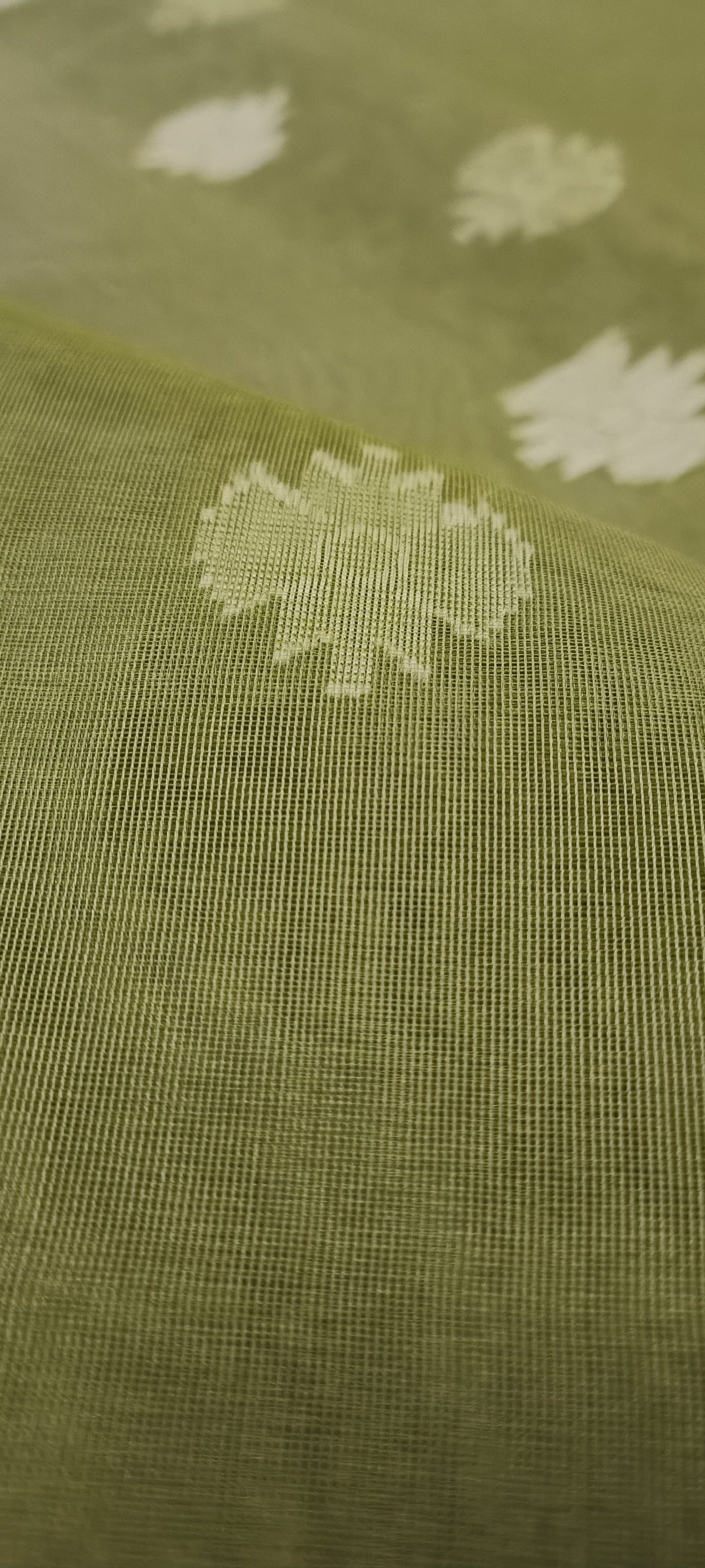 Vatavriksha Muslin Organza Saree