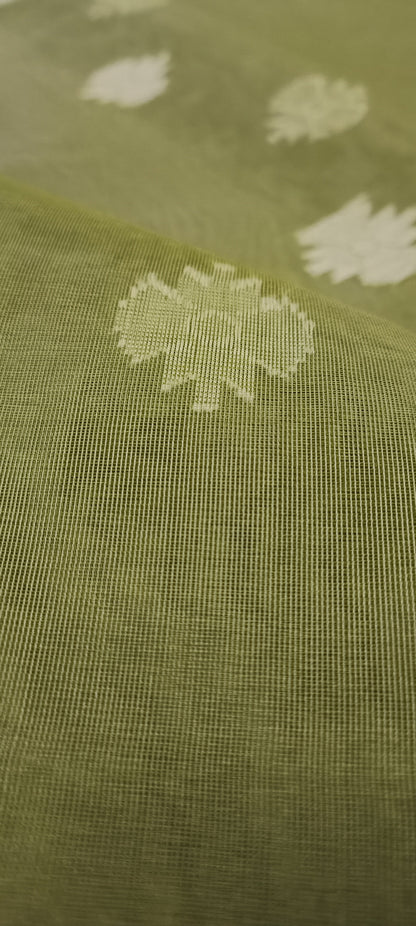 Vatavriksha Muslin Organza Saree