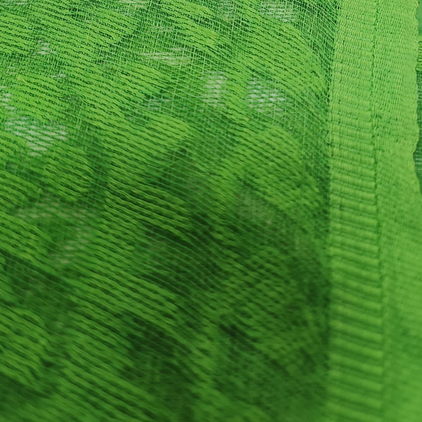 Parrot Whisper Dhakai Taant Saree