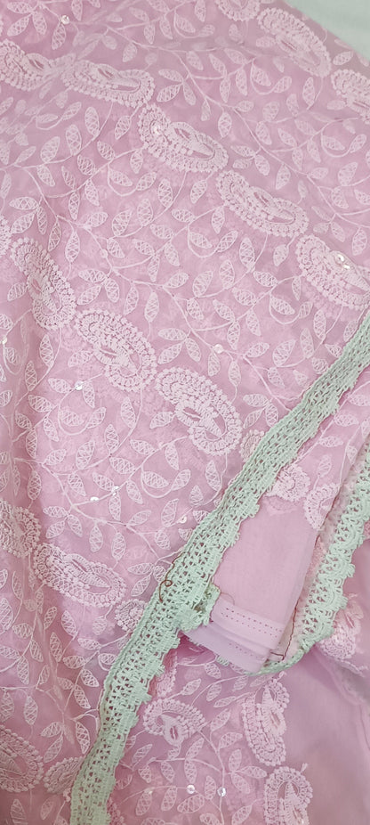 Gulaabi Reva Chikankari Net Saree