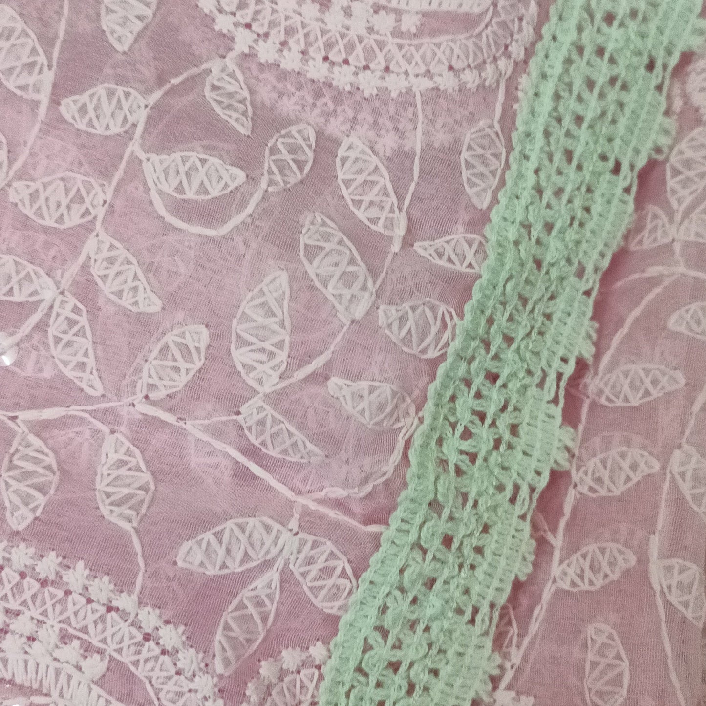 Gulaabi Reva Chikankari Net Saree