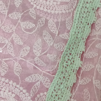 Gulaabi Reva Chikankari Net Saree