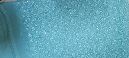 Neelchaaya Chikankari Work Saree