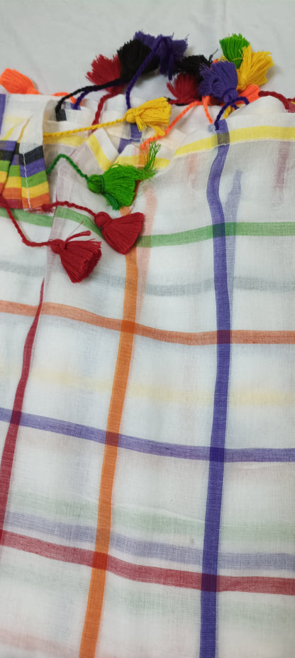 RANGREKHA Rainbow-Checked White Cotton Saree