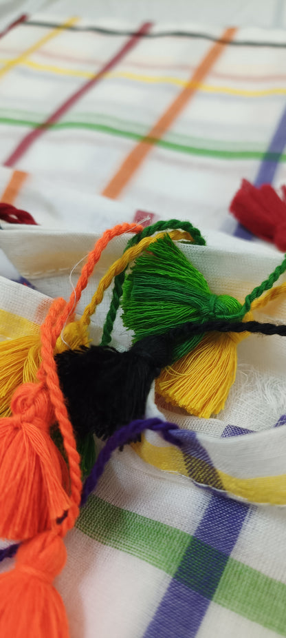 RANGREKHA Rainbow-Checked White Cotton Saree