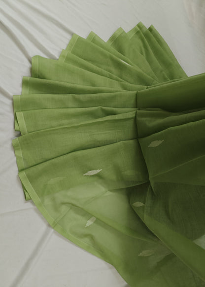 Haritrekha Cotton Saree