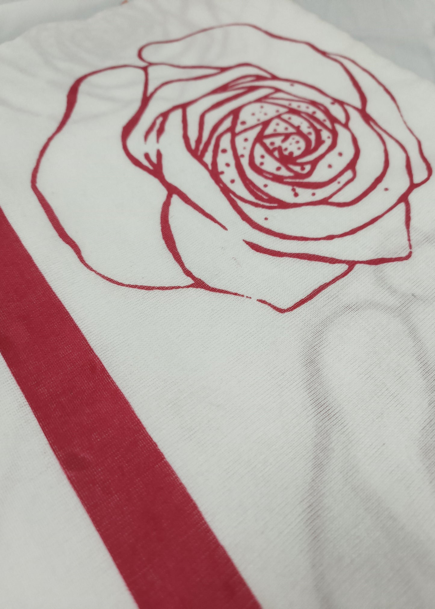 Gulnaar Cotton Saree