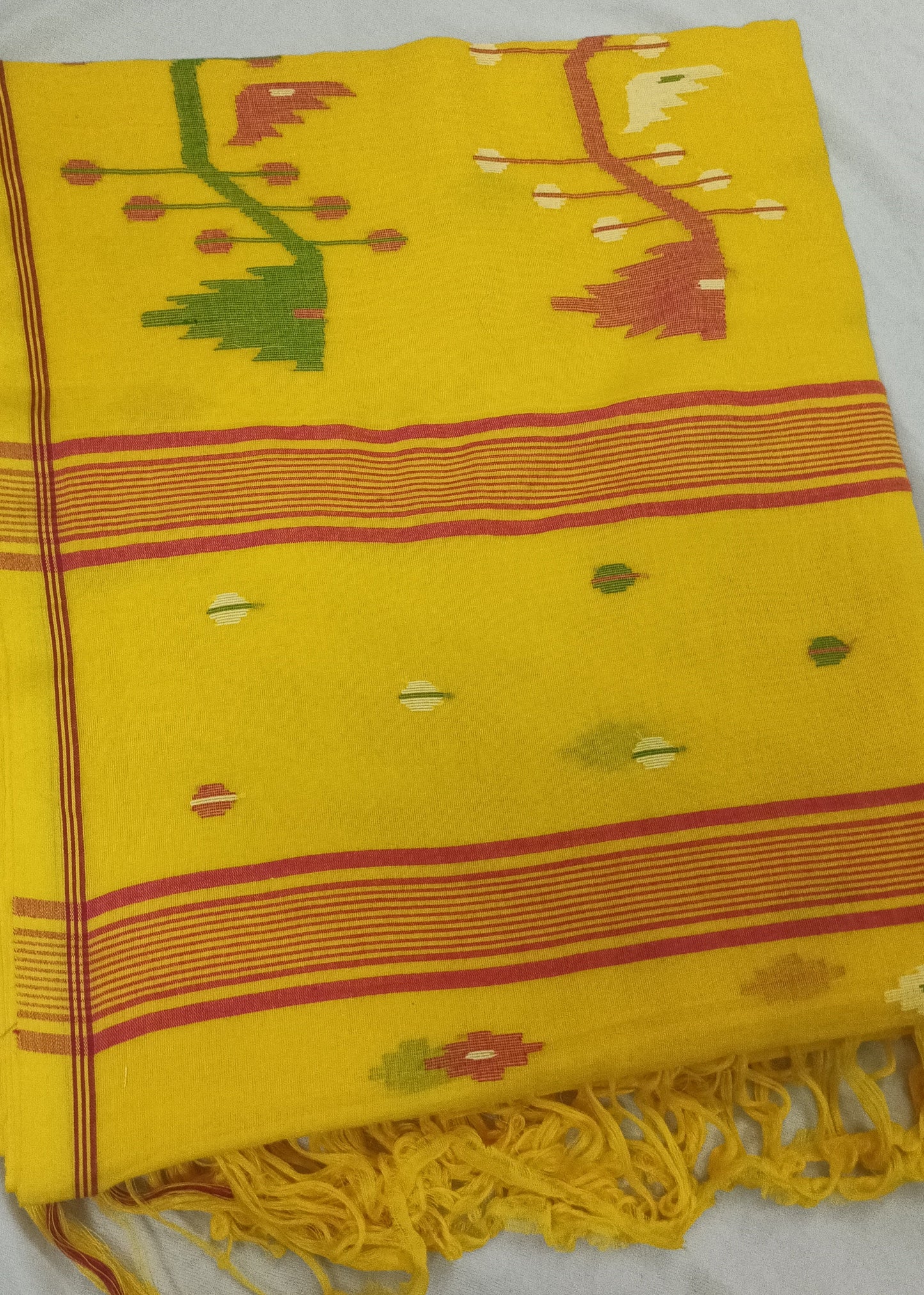 Prakriti Cotton Saree
