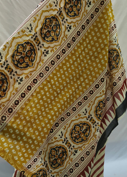 Vasundhara Ajrakh Cotton Saree